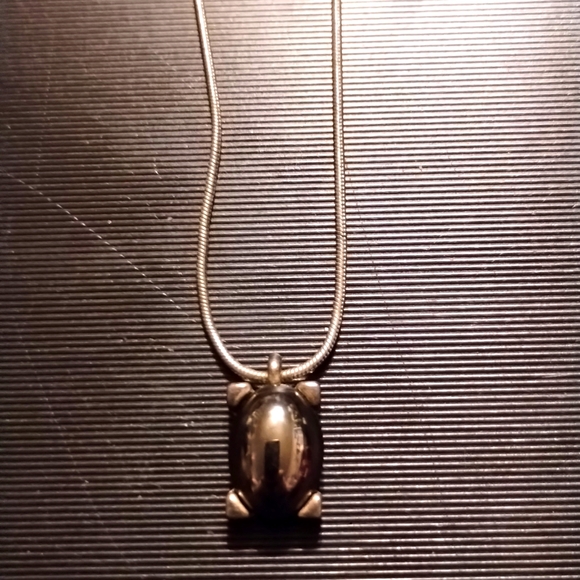 Beautiful silver turtle necklace from Express - Picture 2 of 2